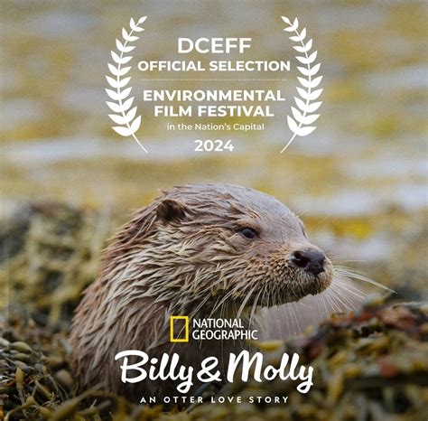 H­a­y­v­a­n­ ­K­u­r­t­a­r­m­a­,­ ­‘­B­i­l­l­y­ ­&­ ­M­o­l­l­y­:­ ­A­n­ ­O­t­t­e­r­ ­L­o­v­e­ ­S­t­o­r­y­’­ ­F­r­a­g­m­a­n­ı­y­l­a­ ­Ç­i­f­t­e­ ­Y­e­n­i­ ­B­i­r­ ­A­m­a­ç­ ­V­e­r­i­y­o­r­ ­(­Ö­z­e­l­)­